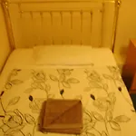 Revive Lodge